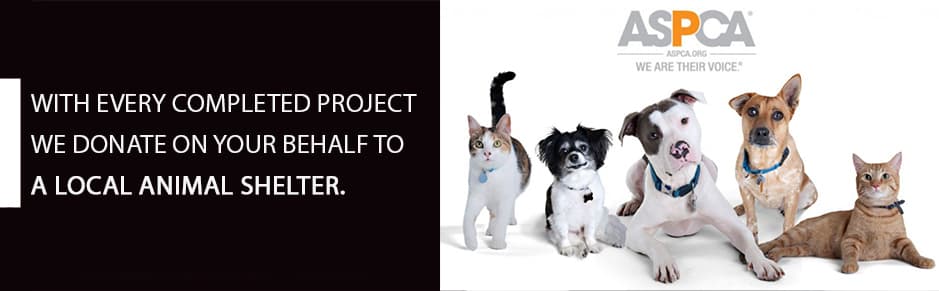 local attic insulation